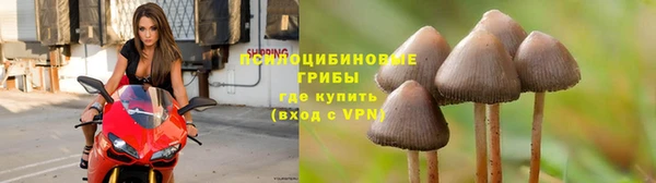 альфа пвп VHQ Липки