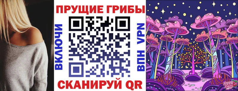 Купить закладки  Дорогобуж  Псилоцибиновые грибы MAGIC MUSHROOMS 